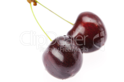 cherries isolated on white