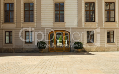 glass door with bushes