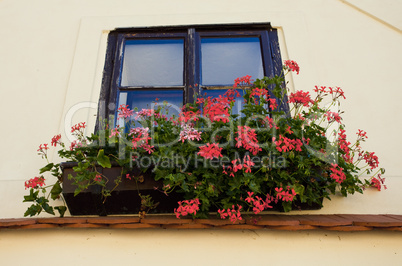 Facade with a balcony with flowers