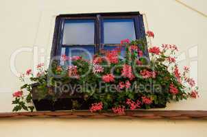 Facade with a balcony with flowers