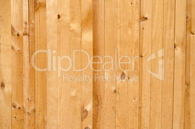 Texture of pine wood