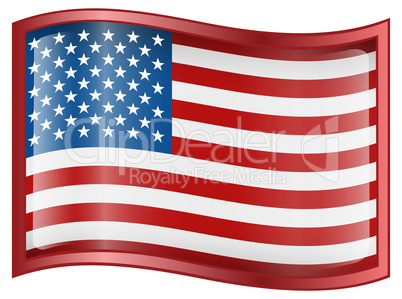 USA flag icon