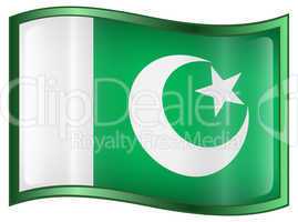 Pakistan Flag Icon