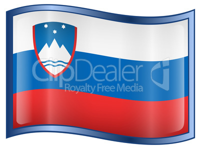 Slovenia Flag icon