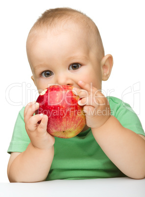 Little child is eating red apple