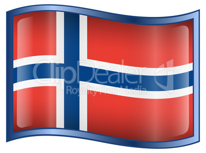 Norwegian Flag icon.