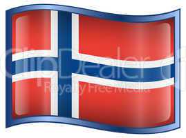 Norwegian Flag icon.