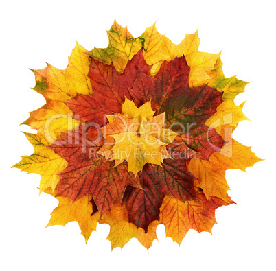 Bunte Herbstblätter als Blume geformt