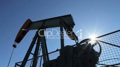 Crude oil pump