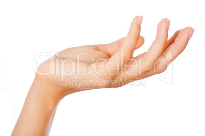 Gesture of womans open hand