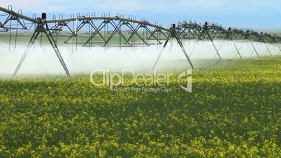 Irrigation Sprinklers