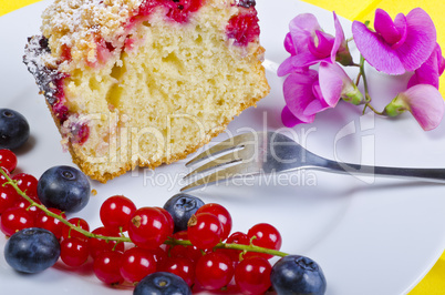 Currant blueberry cake