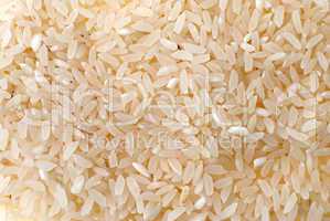 Natural rice background