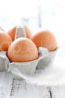 Eier in Eierpackung / fresh brown eggs