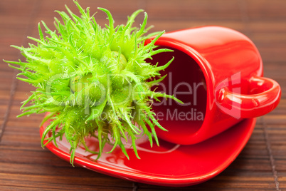 red cup and hazelnuts  on a bamboo mat