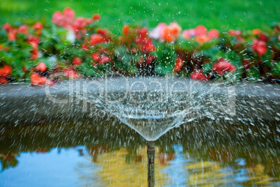 fountain in the park on a background of green grass