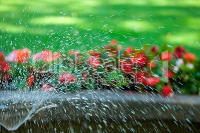 fountain in the park on a background of green grass
