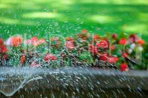 fountain in the park on a background of green grass