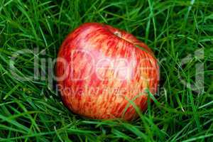 red apple lying on green grass