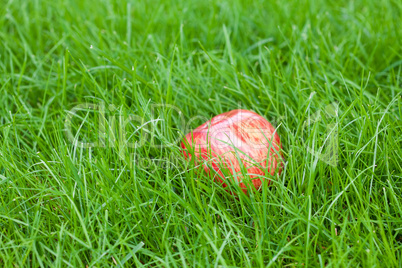red apple lying on green grass