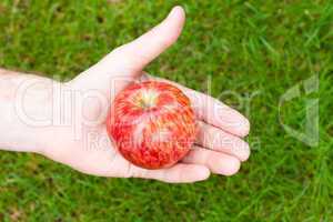 Apple in his hand against the grass