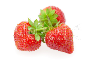 strawberry isolated on white