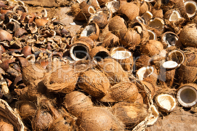 Kokusnuss, Coconut