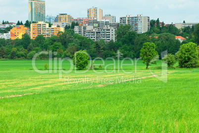 green grass sky with clouds and city in the background