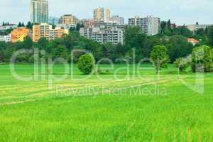 green grass sky with clouds and city in the background