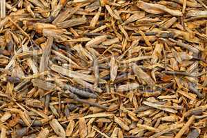 background of wood chips