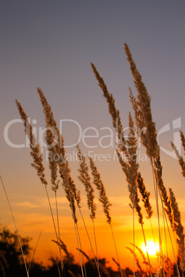 Sunset in desert