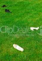 shoes bride and groom lying on green grass