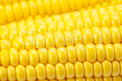 Background corn