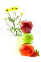 flowers, apples and strawberries isolated on white