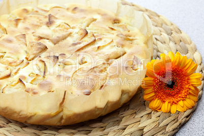 still life of apple pie and Gerbera