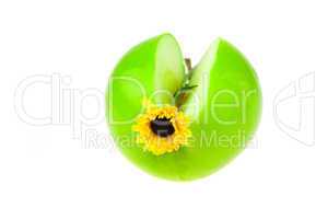 apple and a flower isolated on white