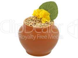 Clay pot with oats grain and decorative yellow flower.