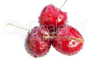 cherry with water droplets isolated on white