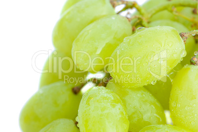 grapes with drops of water isolated on white