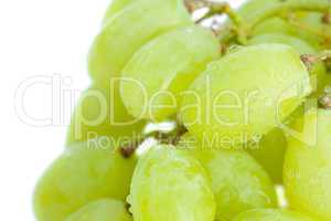 grapes with drops of water isolated on white