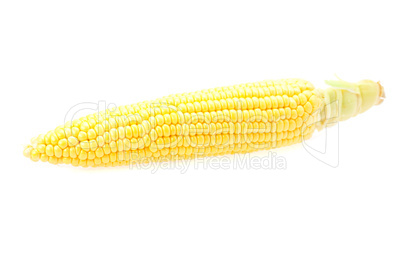 Corn is isolated on a white