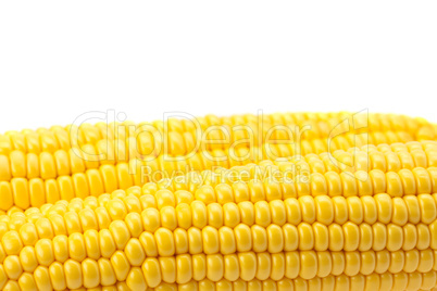 Corn is isolated on a white