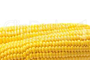 Corn is isolated on a white