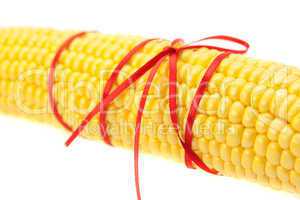 Corn tied with ribbon isolated on white