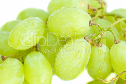 grapes isolated on white