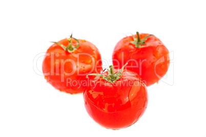 tomatoes under running water isolated on white