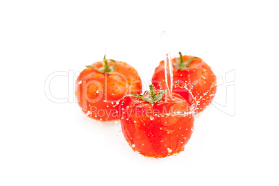 tomatoes under running water isolated on white