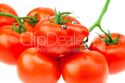 tomato with eyes and a bunch of tomato isolated on white
