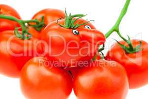 tomato with eyes and a bunch of tomato isolated on white