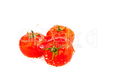 tomatoes with splashes of water isolated on white